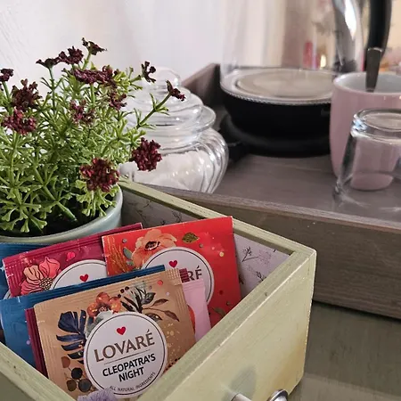 Miodówka Gospodarstwo agroturystyczne Stronie Śląskie