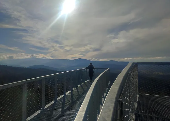 Miodowka Stronie Śląskie