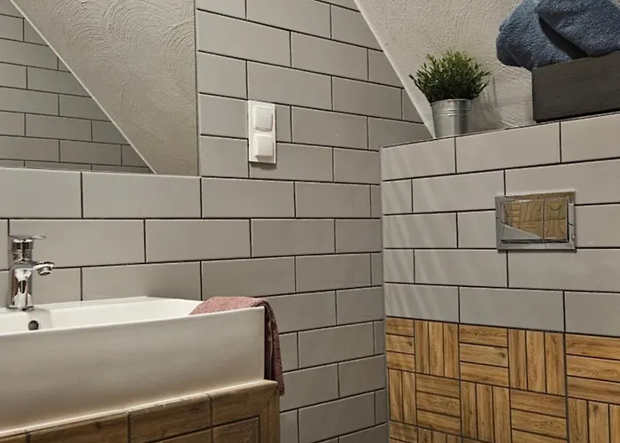 农家乐 Miodowka *