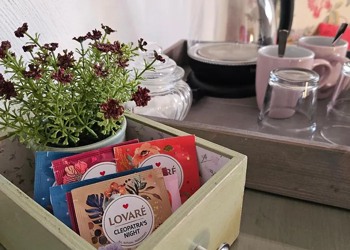 Miodowka Feriegård Stronie Śląskie